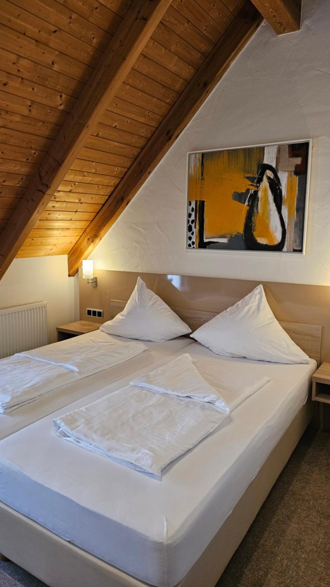 Landgasthof Hotel Rittmayer Hallerndorf Extérieur photo